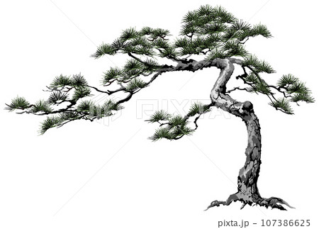 墨絵盆栽の写真素材 - PIXTA