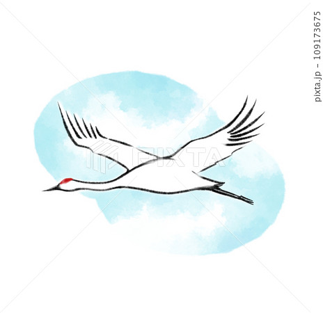 鳥 鶴 タンチョウ 水彩画のイラスト素材 - PIXTA