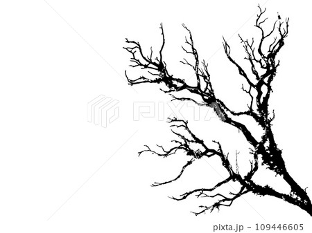 墨絵盆栽の写真素材 - PIXTA