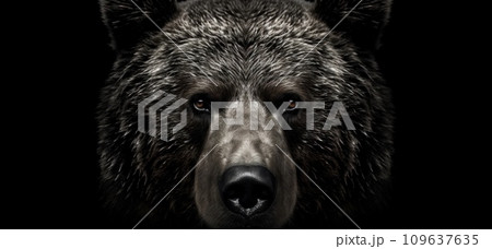 熊 ヒグマ キバ 牙の写真素材 - PIXTA