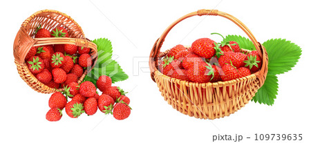 Red Ripe Fresh Strawberries In Kids Hands On Strawberry Background. Stock  Photo, Picture and Royalty Free Image. Image 40973397.