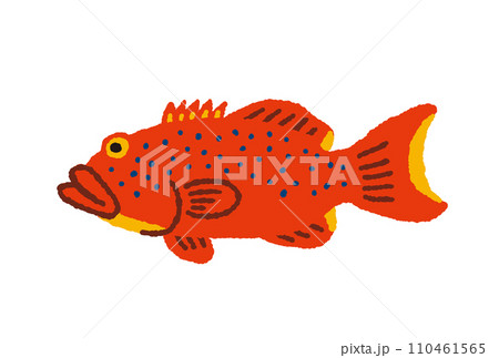 アカジン（魚、通称ミーバイ）タペストリー アカジン（魚、通称ミーバイ）タペストリー （食材 スジアラ）