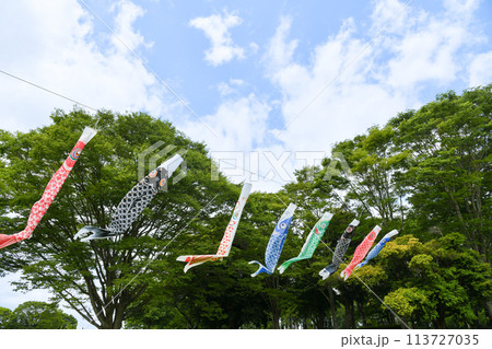 青空に泳ぐ鯉のぼりのイメージ