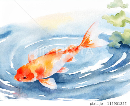 鯉 水墨画 魚 淡水魚の写真素材 - PIXTA