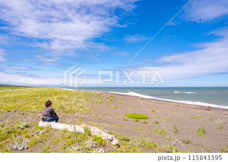 海岸 流木 海 オホーツク海の写真素材 - PIXTA