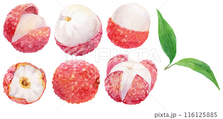 生ライチの写真素材 - PIXTA