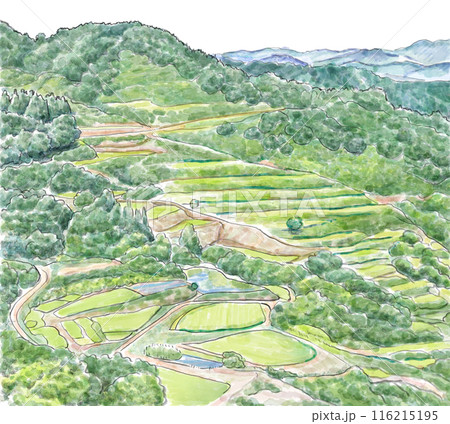 絵画　熱帯の棚田風景　油彩画 絵画 熱帯の棚田風景 油彩画