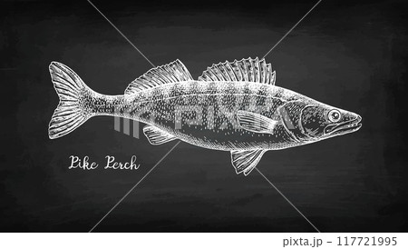 木版画 彫り物 魚 スケッチのイラスト素材 - PIXTA