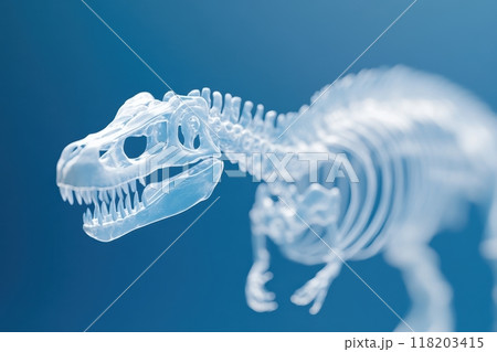 恐竜 クローズアップ スケルトン 骨格のイラスト素材 - PIXTA, 画像サイズ:450x319