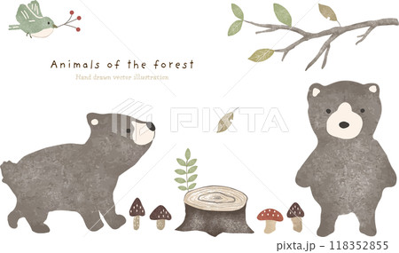 森のくまさんのイラスト素材 - PIXTA