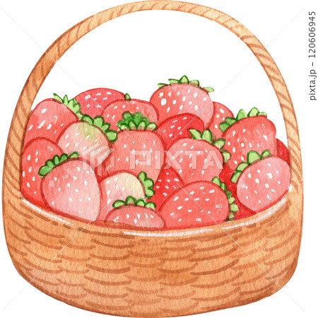 バスケット いちご イチゴ 苺のイラスト素材 - PIXTA