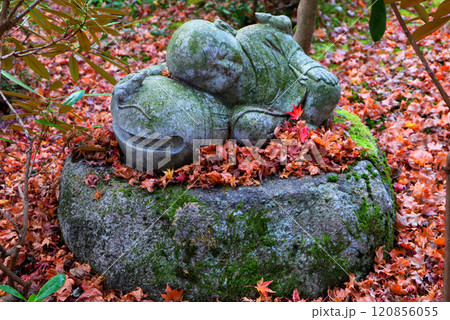圓光寺 もみじ 秋 お地蔵さんの写真素材 - PIXTA