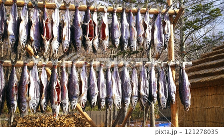 ポロト湖畔に誕生した素晴らしいウポポイ