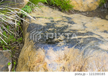 蛇紋石の写真素材 - PIXTA 蛇紋石の写真素材 - PIXTA