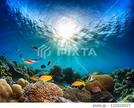 絵画　ANNA.k 海、イソギンチャク 水中 イソギンチャク 海中 水槽のイラスト素材 - PIXTA