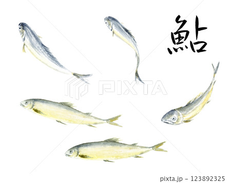 鮎 水墨画 水墨 墨の写真素材 - PIXTA