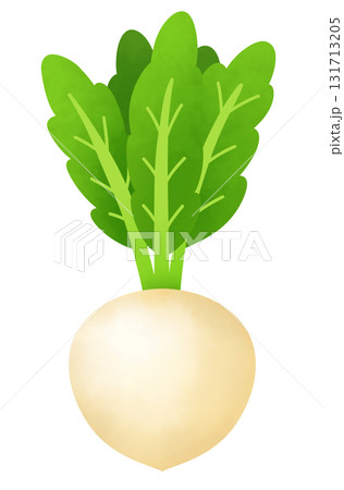 かぶのイラスト素材(10,540点以上の高品質なイラスト素材) - PIXTA