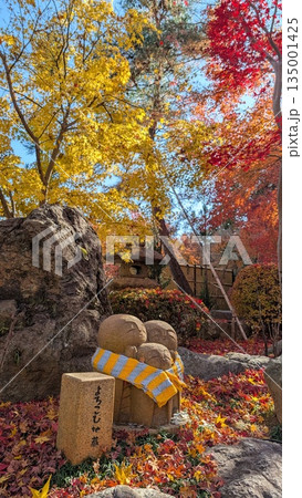 紅葉 秋 お地蔵さん 地蔵の写真素材 - PIXTA