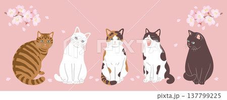 桜 4月 春 猫のイラスト素材 - PIXTA