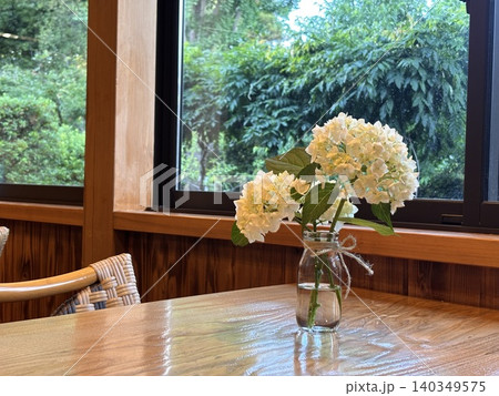 紫陽花 花 室内 花瓶の写真素材 - PIXTA
