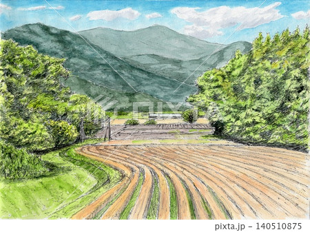 小麦畑のイラスト素材 - PIXTA