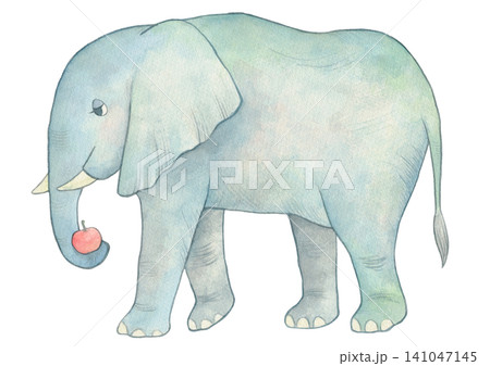 ぞう ゾウ 象 水彩画のイラスト素材 - PIXTA