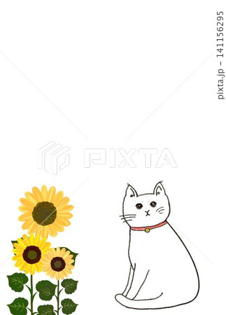 猫 動物 ひまわり 向日葵の写真素材 - PIXTA